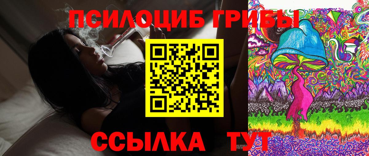 Галлюциногенные грибы прущие грибы  где купить наркоту  Мелеуз  Галлюциногенные грибы Psilocybe  Вход с VPN 